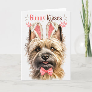 Cairn Terrier Dog in Bunny Ears for Easter Holiday Card