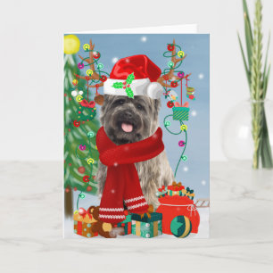 Cairn Terrier Dog in Snow with Christmas Gifts   Card