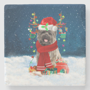 Cairn Terrier Dog in Snow with Christmas Gifts  Stone Coaster