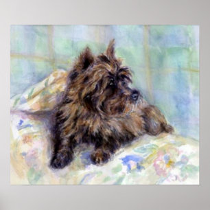 Cairn Terrier Dog Portrait Poster Print