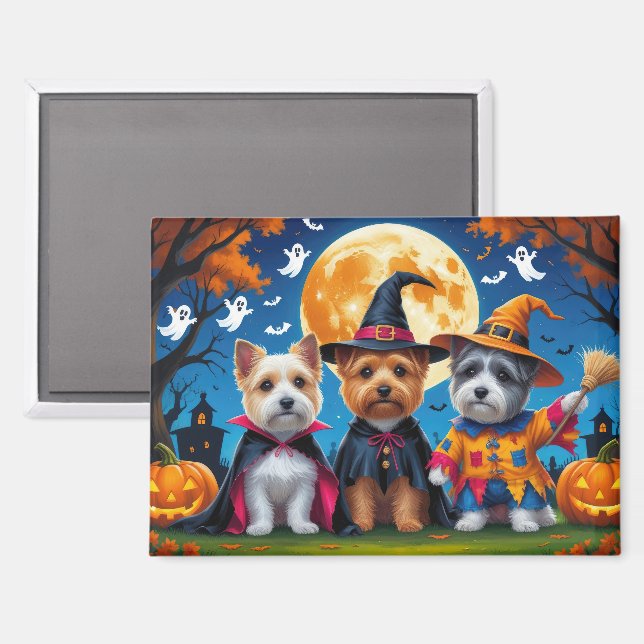 Cairn Terrier Dogs Pumpkin Halloween Funny Magnet (Front/Back)