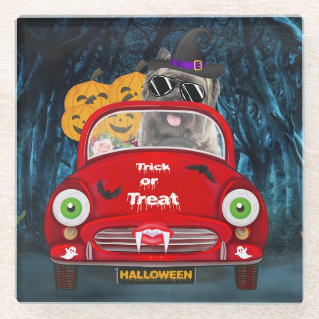 Cairn Terrier Driving Car Scary Halloween  Glass Coaster (Front)