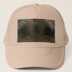 cairn terrier eyes trucker hat