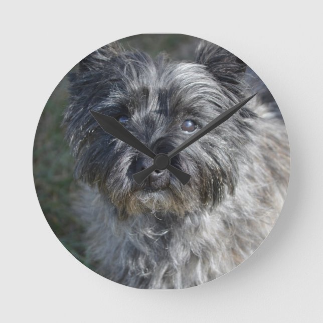 Cairn Terrier Face Round Clock (Front)