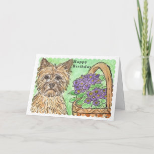 Cairn Terrier Happy Birthday card pansies basket