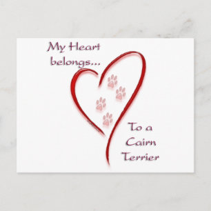 Cairn Terrier Heart Belongs Postcard