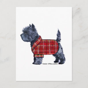 Cairn Terrier Holiday