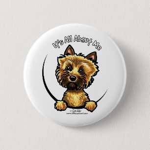 Cairn Terrier Its All About Me 6 Cm Round Badge