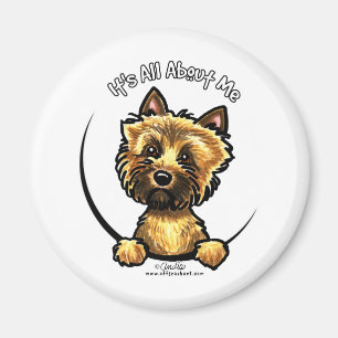 Cairn Terrier Its All About Me Magnet