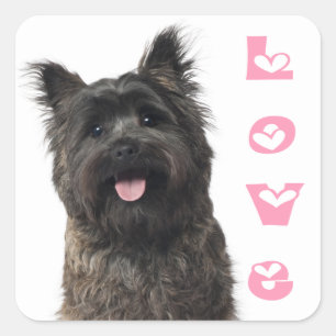 Cairn Terrier Love Puppy Dog Mom Fur Mama Canine Square Sticker