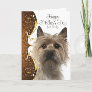 Cairn Terrier Mother's Day Card