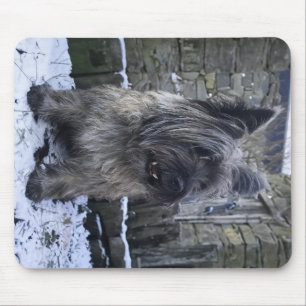 Cairn Terrier on Scottish farm Mouse Mat