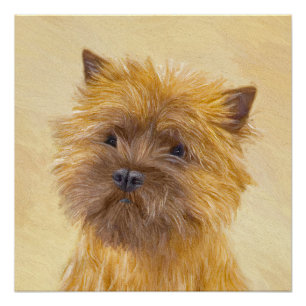 Cairn Terrier Painting - Cute Original Dog Art Poster