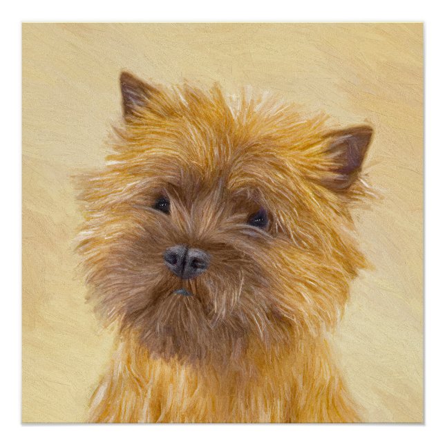 Cairn Terrier Painting - Cute Original Dog Art Poster (Front)