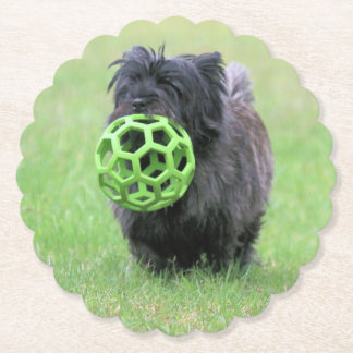 Cairn terrier  paper coaster