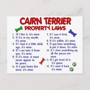 CAIRN TERRIER Property Laws 2 Postcard