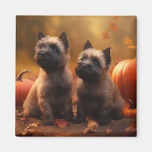 Cairn Terrier Puppy Autumn Delight Pumpkin  Magnet