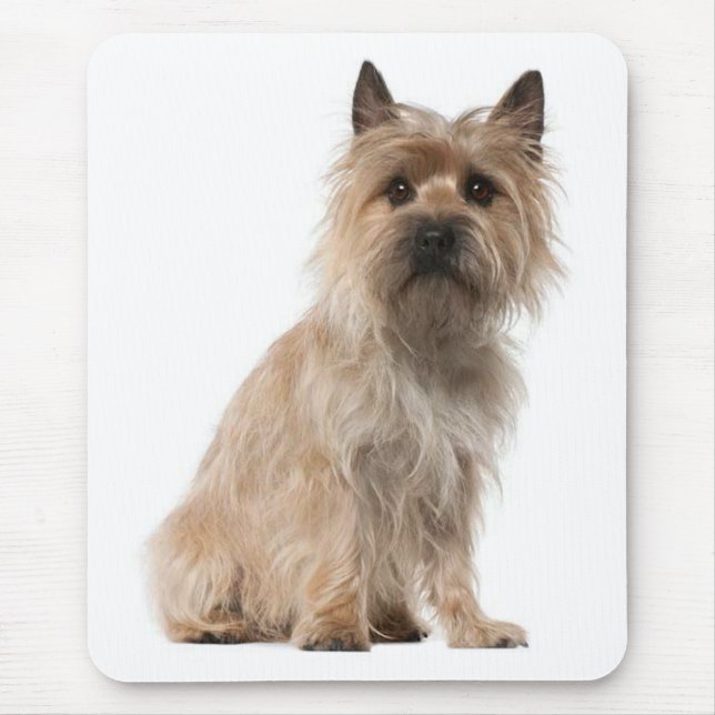 Cairn Terrier Puppy Dog Mousepad (Front)