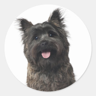 Cairn Terrier Puppy Dog Stickers