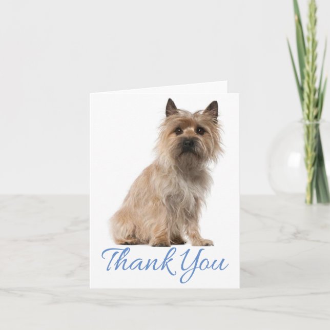 Cairn Terrier Puppy Dog Thank You Blank Note Card (Front)