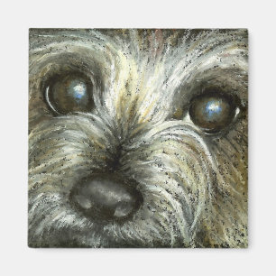 Cairn terrier puppy magnet