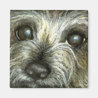 Cairn terrier puppy magnet