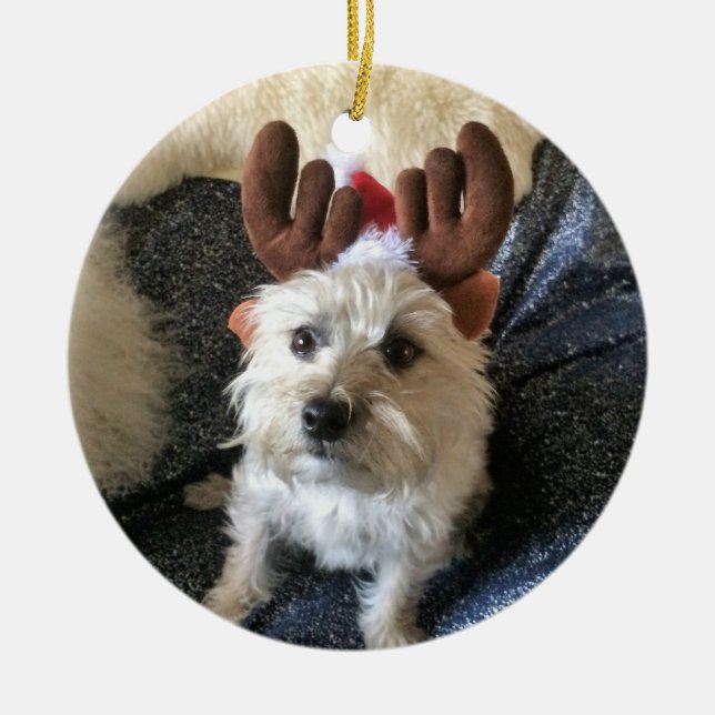 Cairn Terrier "Reindeer" Christmas Ornament (Front)