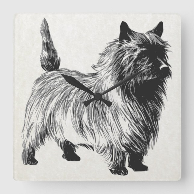 cairn terrier square wall clock (Front)