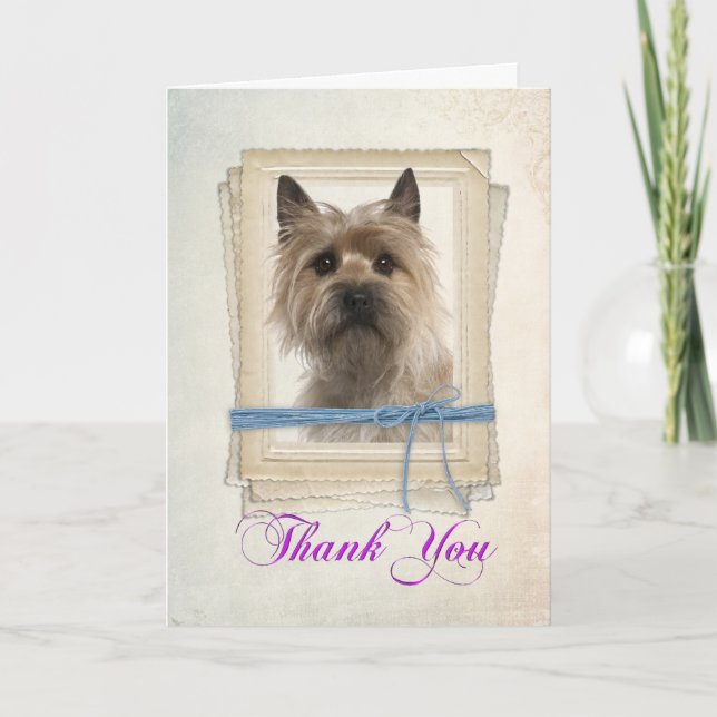 Cairn Terrier Thank You Card (Front)