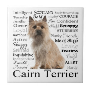 Cairn Terrier Traits Tile