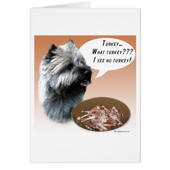 Cairn Terrier Turkey (Front)