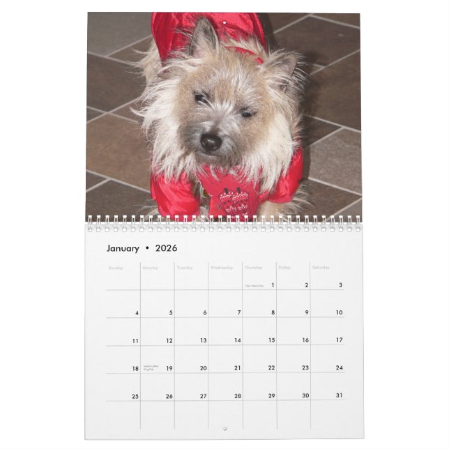 Cairn Terriers 2012 Calendar (Jan 2026)