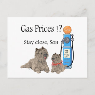 Cairn Terriers Gas Prices ?!! Postcard