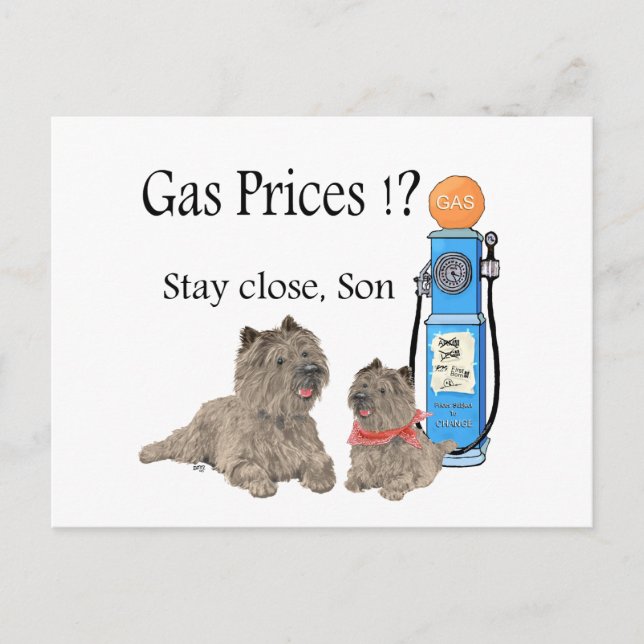 Cairn Terriers Gas Prices ?!! Postcard (Front)