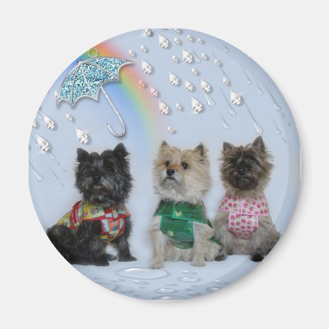 Cairn Terriers in the rain magnet (Front)