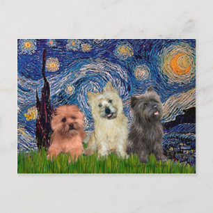 Cairn Terriers (three) - Starry Night Postcard
