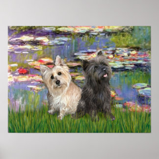 Cairn Terriers (two) - Llilies 2 Poster