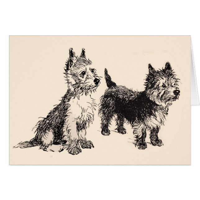 Cairn Terriers Vintage Pen & Ink (Front Horizontal)
