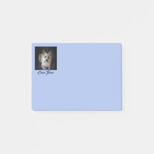 Cairntensity - Post It Notes