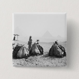 Cairo Egypt, Camel Jockeys Giza Pyramids (NR) 15 Cm Square Badge