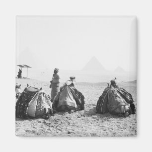 Cairo Egypt, Camel Jockeys Giza Pyramids (NR) Magnet