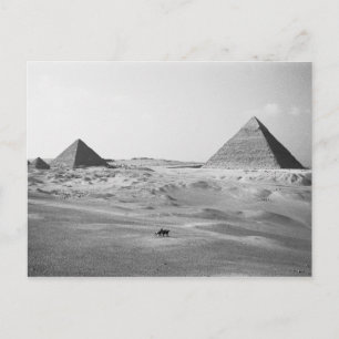 Cairo Egypt, Giza Pyramids Postcard