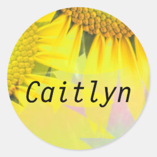Caitlyn Rainbow Sunflowers Name Stickers