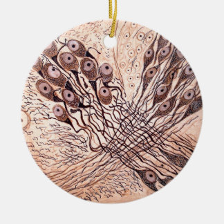 Cajal's Neurons 1 Ceramic Tree Decoration