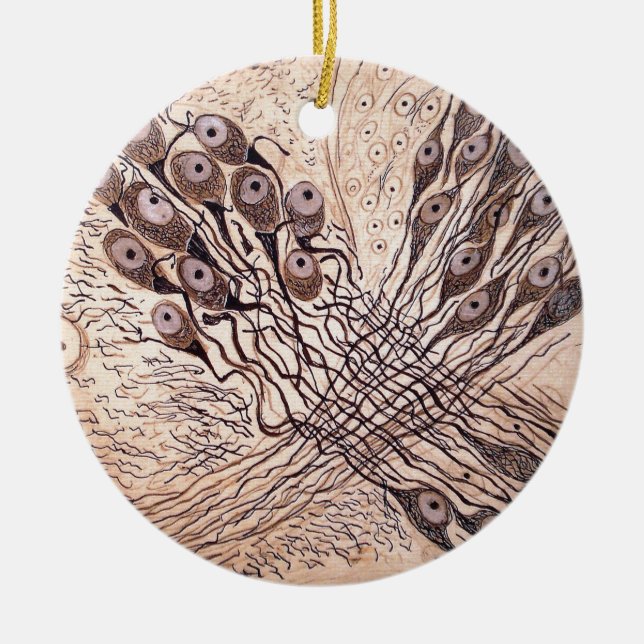 Cajal's Neurons 1 Ceramic Tree Decoration (Front)