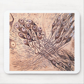 Cajal's Neurons 1 Mouse Mat