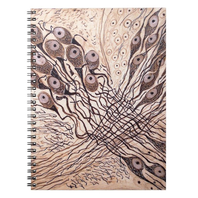 Cajal's Neurons 1 Notebook (Front)