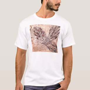 Cajal's Neurons 1 T-Shirt