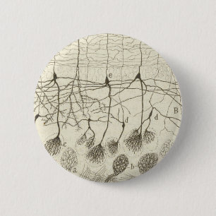 Cajal's Neurons 8 6 Cm Round Badge