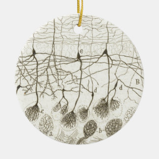 Cajal's Neurons 8 Ceramic Tree Decoration
